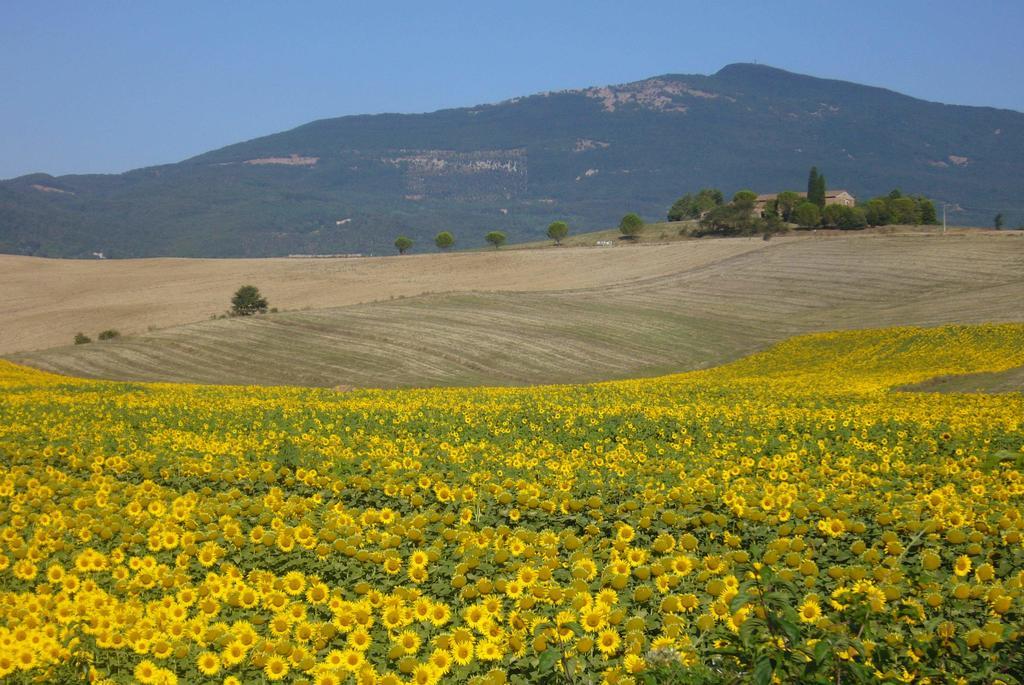 Giuseppe Bed & Breakfast